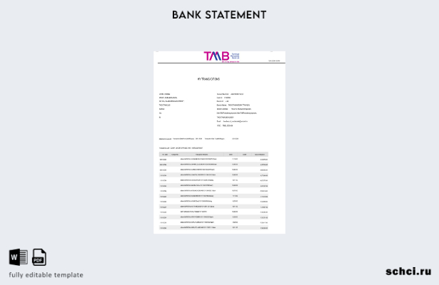 цифровая загрузка шаблона страниц банковской выписки Индии TAB